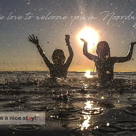 Appartement Have A Stay! - Duinvos 150m From The *