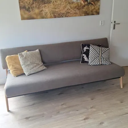 Apartment Duinvos 150m From The *