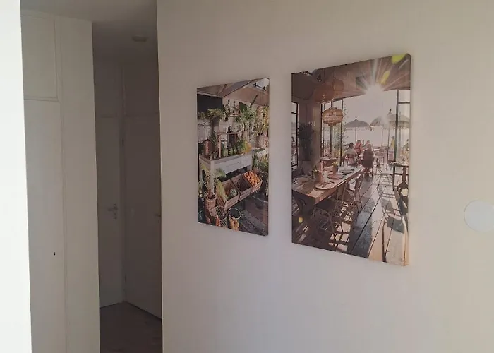 Appartement Have A Stay! - Duinvos 150m From The Noordwijk