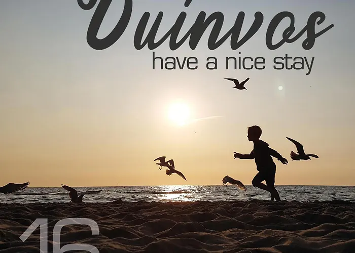 Appartement Have A Stay! - Duinvos 150m From The *